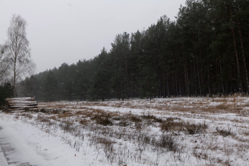 R1 in Ferch with snow 2021-02-07 13