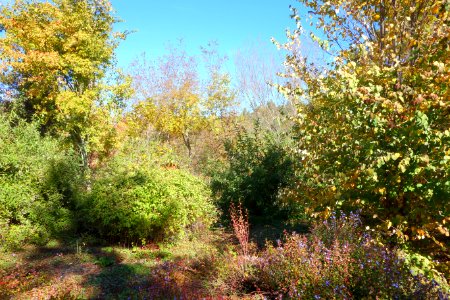 Quarryhill Botanical Garden - DSC03376