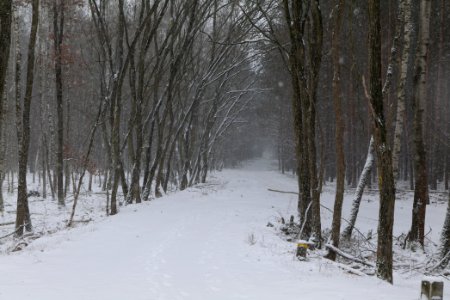 R1 in Ferch with snow 2021-02-07 29