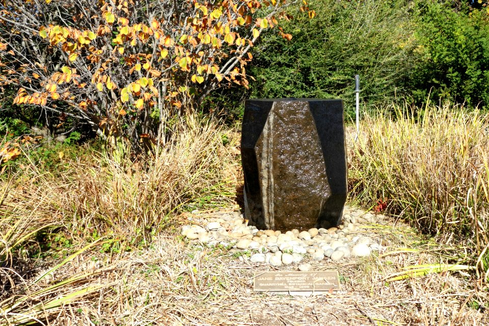 Quarryhill Botanical Garden - DSC03248