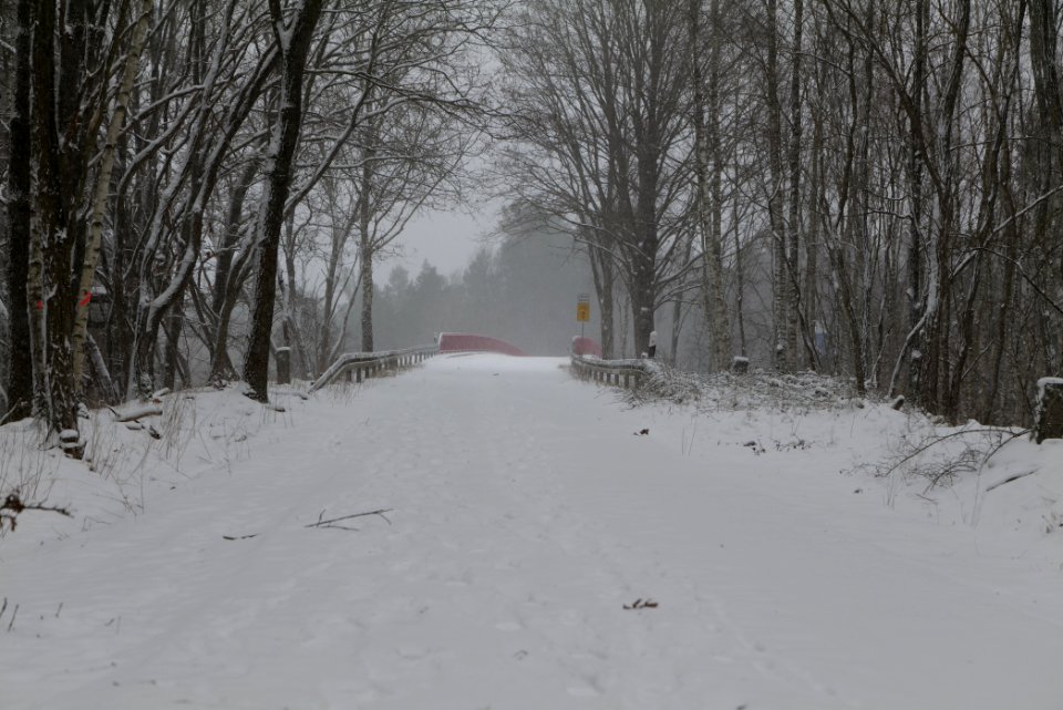 R1 in Ferch with snow 2021-02-07 27