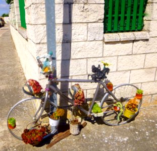 Quintanilla Vivar - La vieja bicicleta