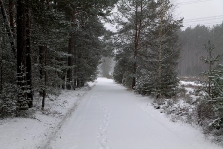 R1 in Ferch with snow 2021-02-07 15