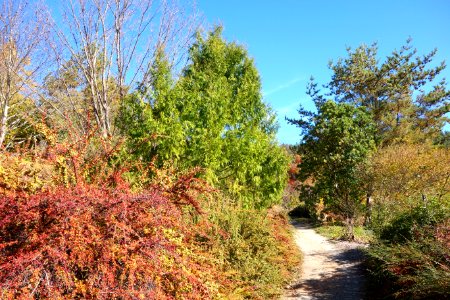Quarryhill Botanical Garden - DSC03668