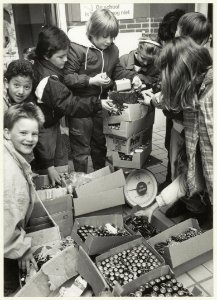 R.K. Basisschool Godfried Bomans, NL-HlmNHA 54023549
