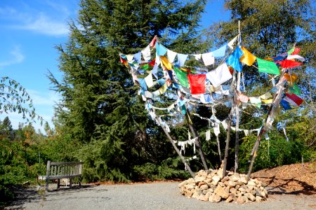 Quarryhill Botanical Garden - DSC03554