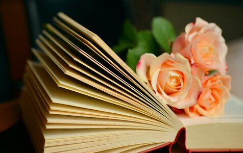 Roses romantic literature photo