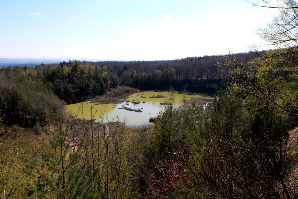 Quarzitbruch Rosbach 2021-04-02 05