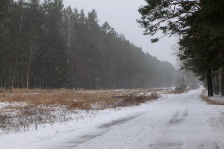 R1 in Ferch with snow 2021-02-07 08