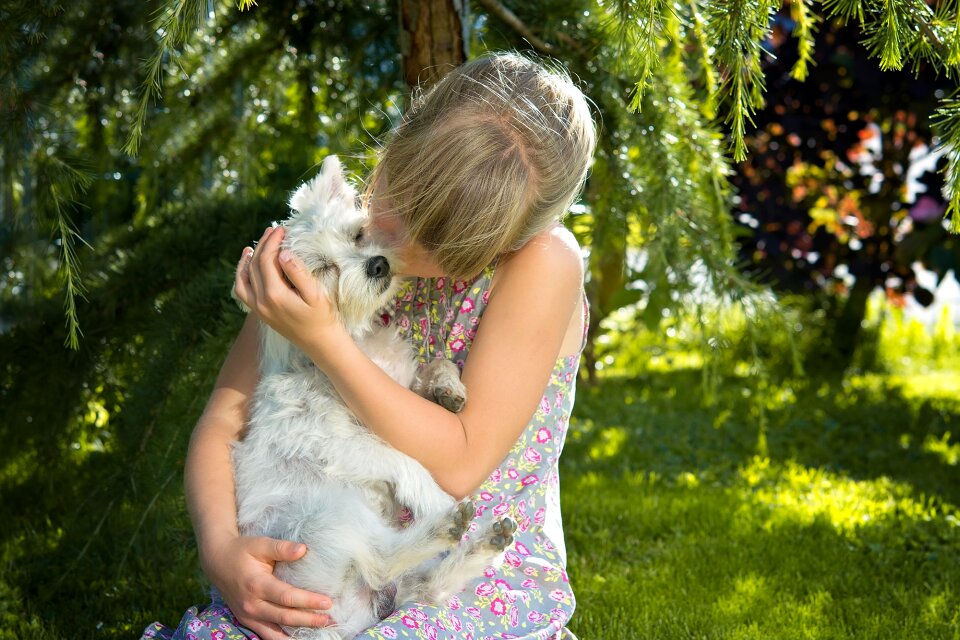 Small dog white love