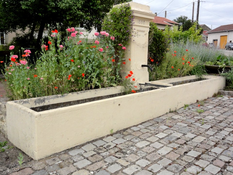 Réméréville (M-et-M) fontaine