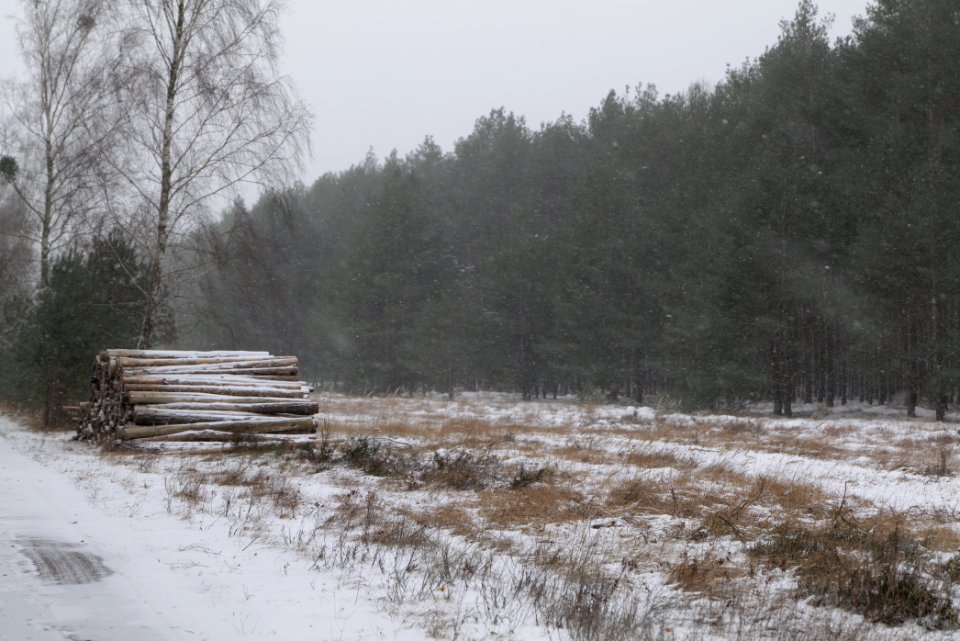 R1 in Ferch with snow 2021-02-07 10