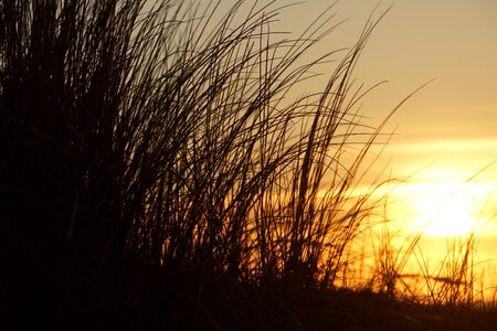 Sunset beach texel