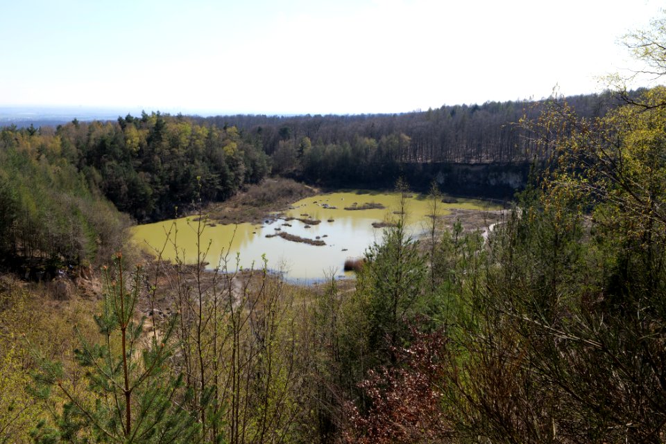 Quarzitbruch Rosbach 2021-04-02 07