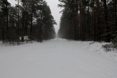 R1 in Beelitz with snow 2021-02-07 03