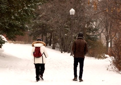 Quebe city on winter, Canada 08