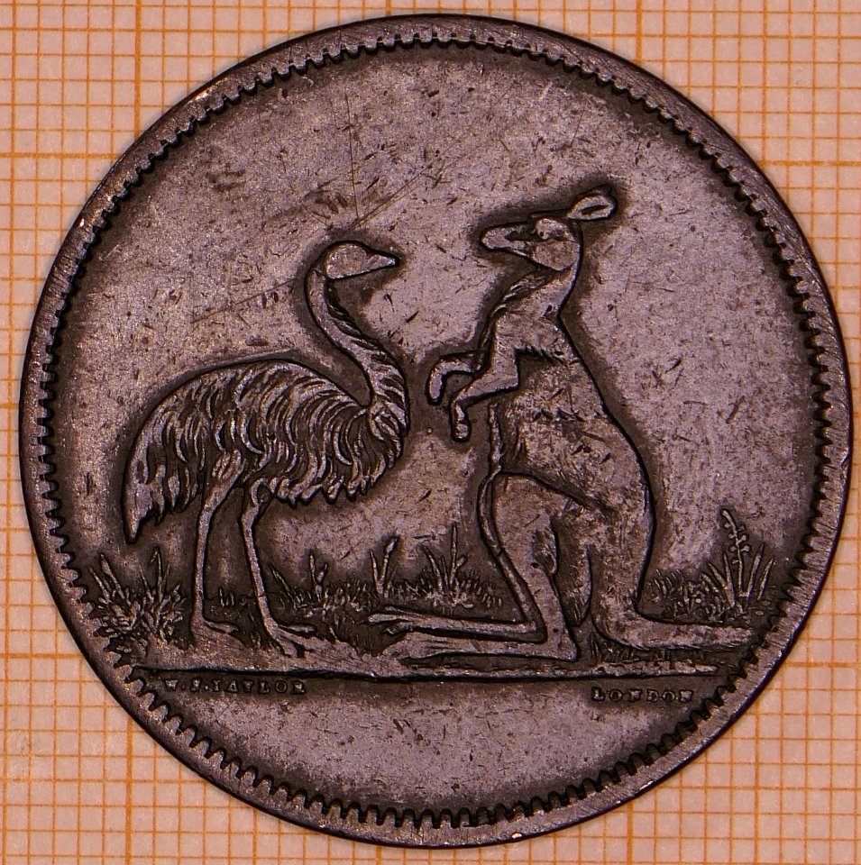 R135 Australian Penny Token, ND, Flavelle Bros. & Co., Sydney & Brisbane - reverse