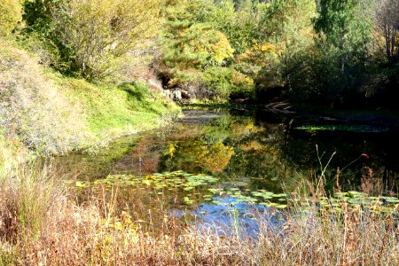 Quarryhill Botanical Garden - DSC03673