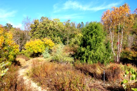Quarryhill Botanical Garden - DSC03689