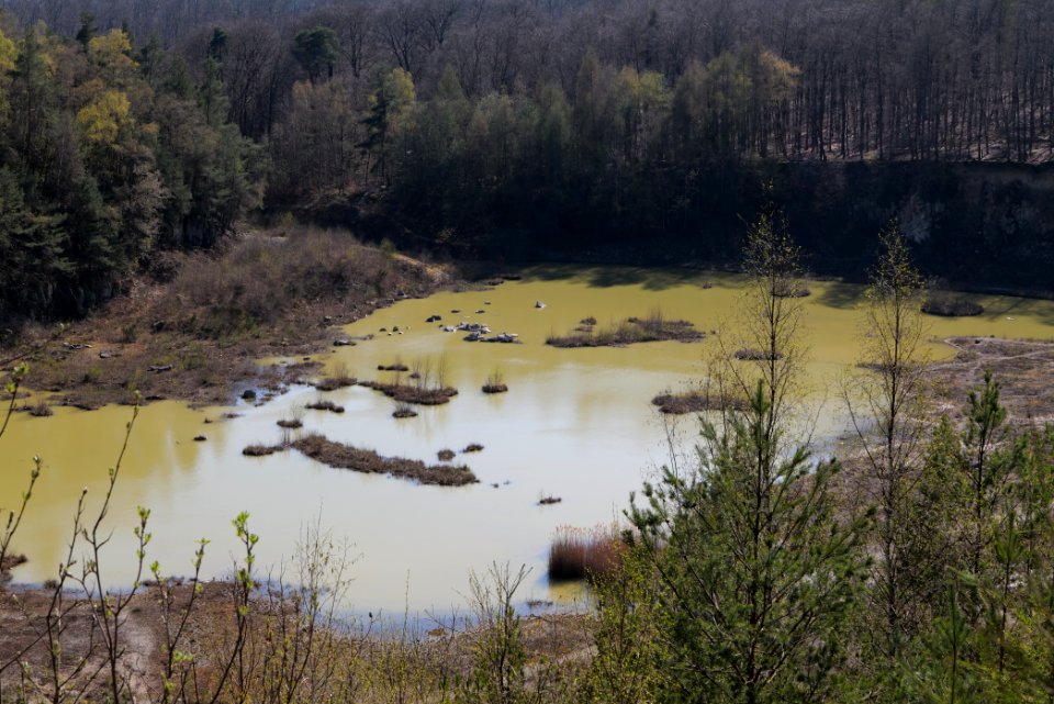 Quarzitbruch Rosbach 2021-04-02 12