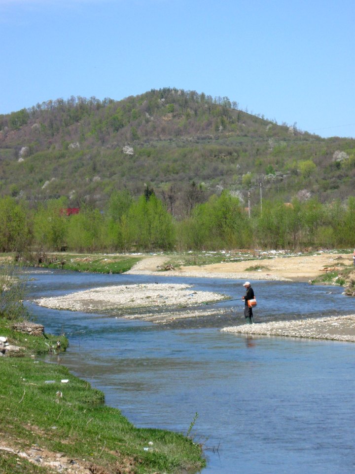 Râul Târgului by Mihăeşti spring 2011