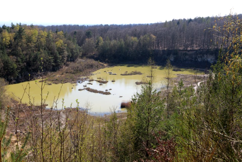 Quarzitbruch Rosbach 2021-04-02 08