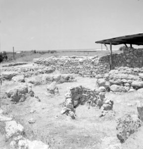 Quasileh, archeologisch onderzoek van een necropool, Bestanddeelnr 255-3795