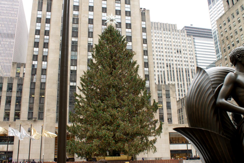 Rockefeller Center Christmas Tree 2013