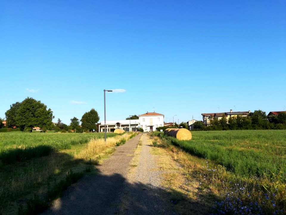 Quattro Castella - 10 luglio 2017 (2)