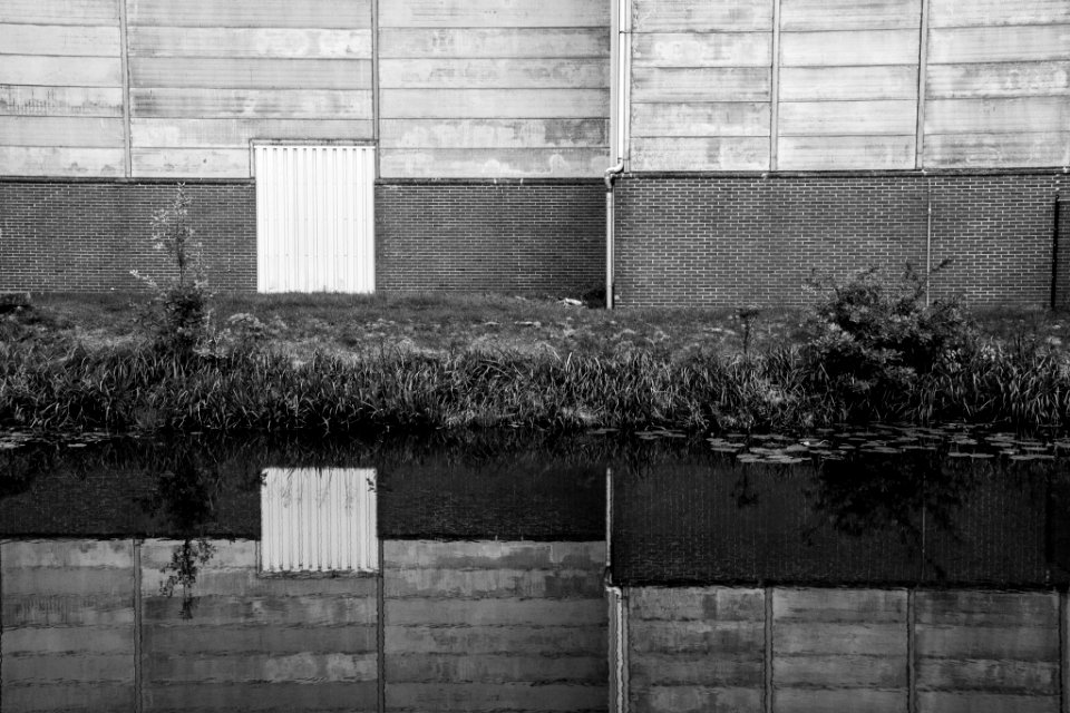 Réflexion (55752042)