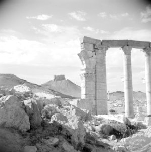 Romeinse overblijfselen te Palmyra Het Arabisch fort op de achtergrond, Bestanddeelnr 255-6105