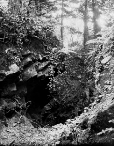 Rocks in woodland (1293707)