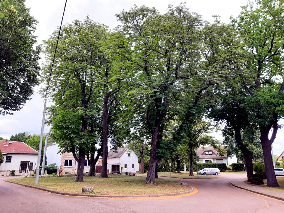 Rockendorf (Hohenweiden)
