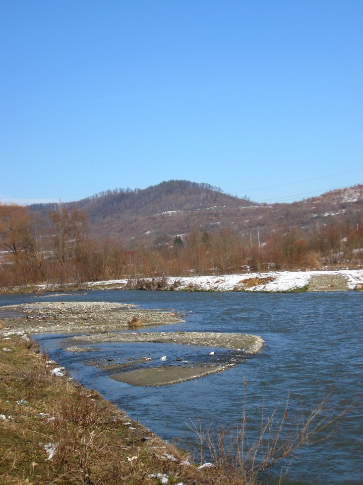 Râul Târgului by Mihăeşti winter 2010 1