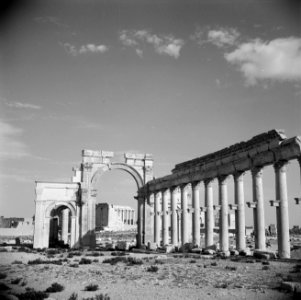 Romeinse overblijfselen te Palmyra Toegangspoort en de collonadestraat, Bestanddeelnr 255-6096