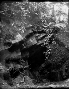Rocks (1294237)