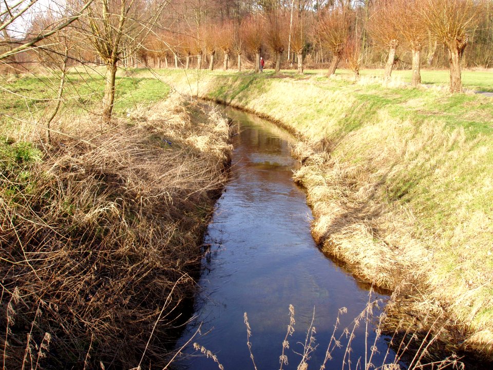 Rode Bach near Schinveld-1