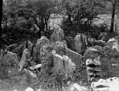 Rocks (1293801)