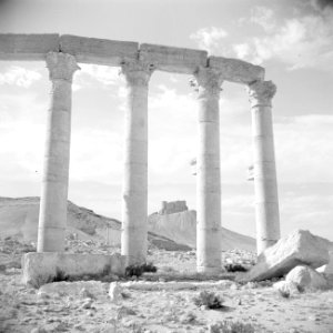 Romeinse overblijfselen te Palmyra Het Arabisch fort op de achtergrond, Bestanddeelnr 255-6104