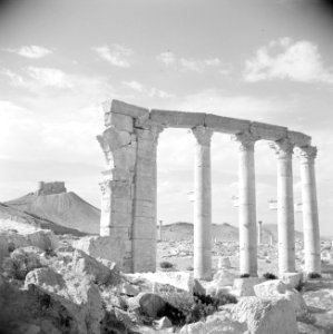 Romeinse overblijfselen te Palmyra Het Arabisch fort op de achtergrond, Bestanddeelnr 255-6103