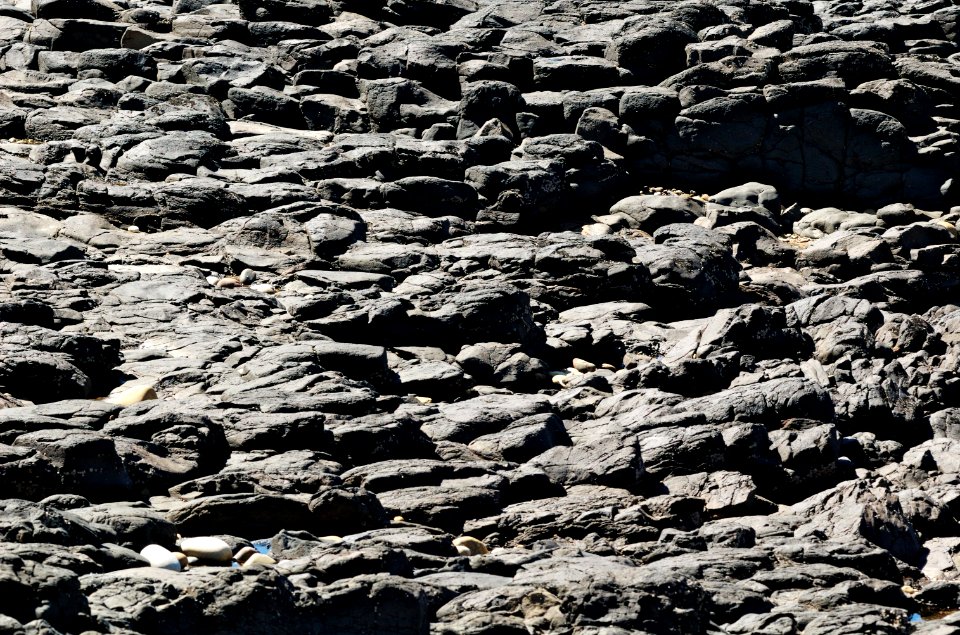 Rocks-Mersey-Devonport-20070310-008