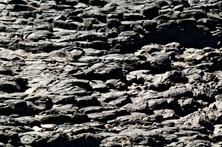 Rocks-Mersey-Devonport-20070310-008