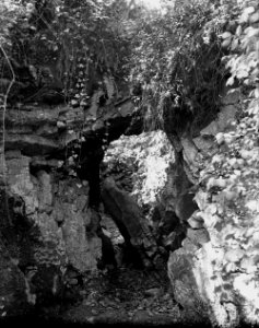 Rocks (1295030)