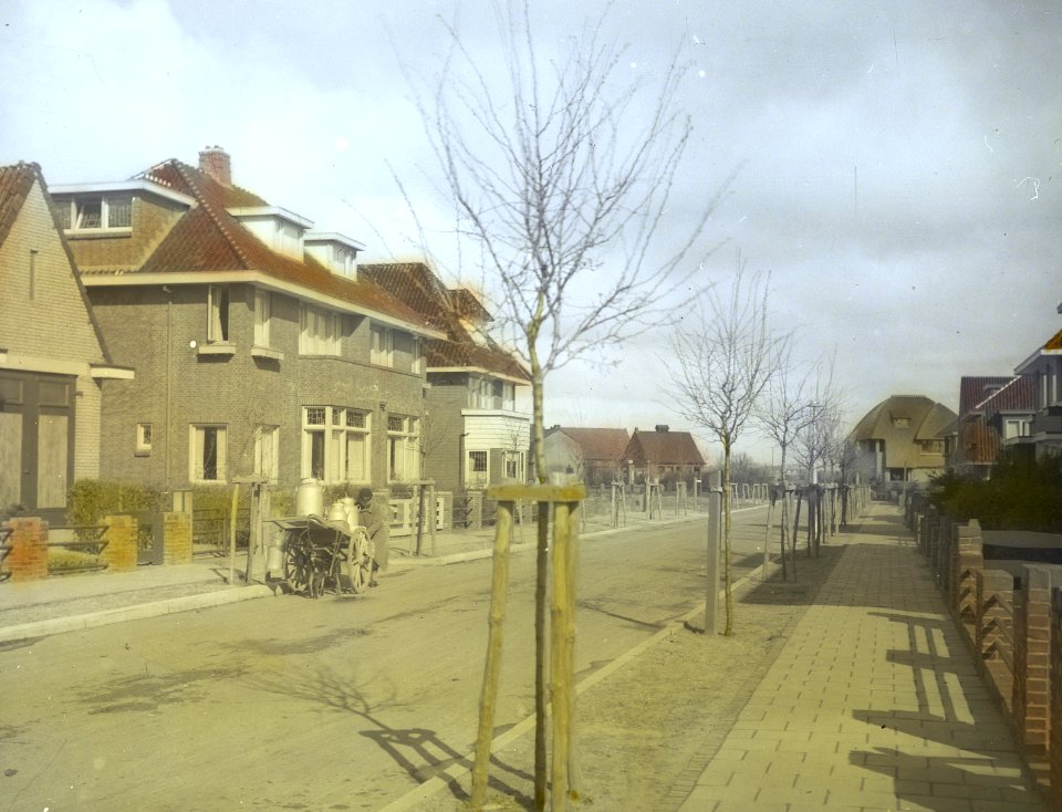 Rode meidoorn, Bestanddeelnr 194-0435
