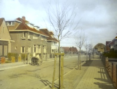 Rode meidoorn, Bestanddeelnr 194-0435