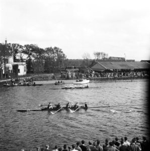 Roeiwedstrijd op de Oude Rijn, Bestanddeelnr 900-7918