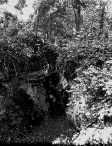 Rocks in woodland (1293630)