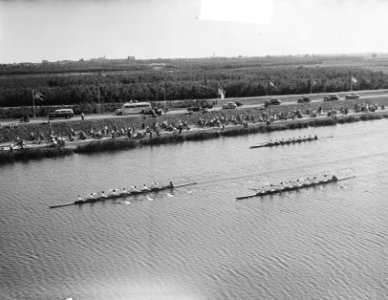 Roeikampioenschap Bosbaan dames achten, Bestanddeelnr 903-5066