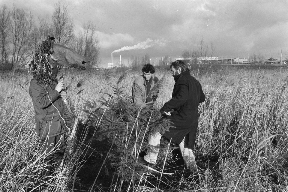 Roel van Duijn e.a. planten eerste kerstboom met kluit voor Geuzenbos bij Amster, Bestanddeelnr 933-8527