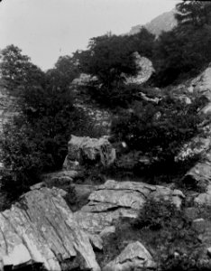 Rocks (1295089)